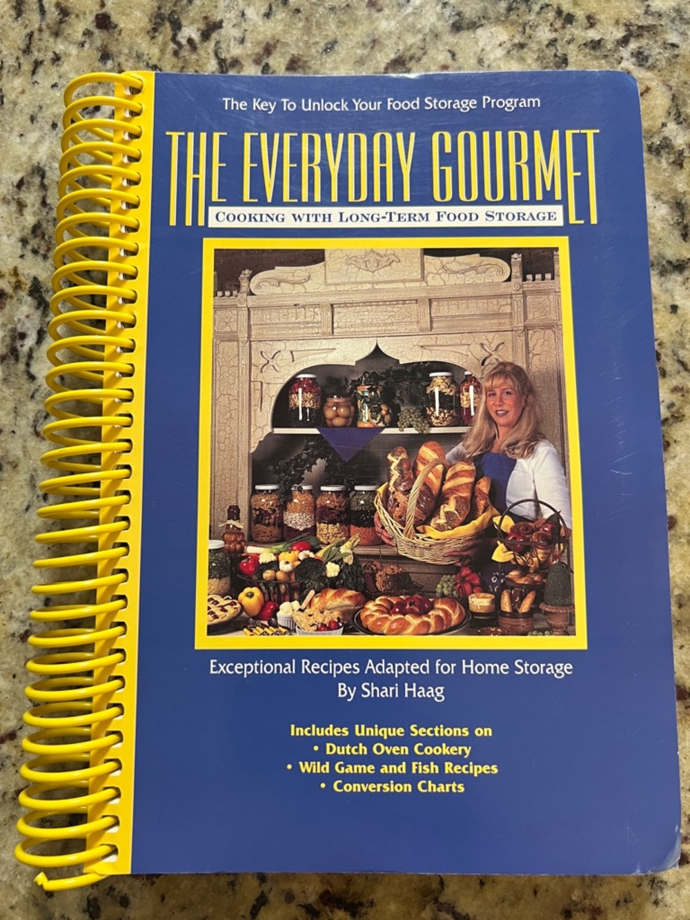 The Everyday Gourmet Cookbook by Shari Haag - Blue with Yellow Coil